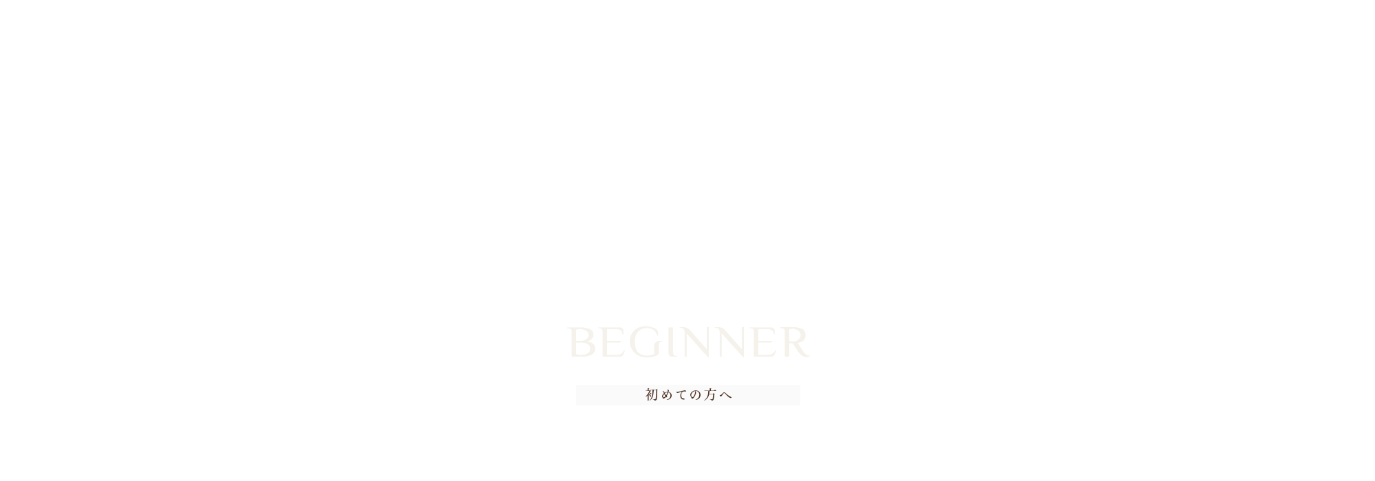 BEGINNER